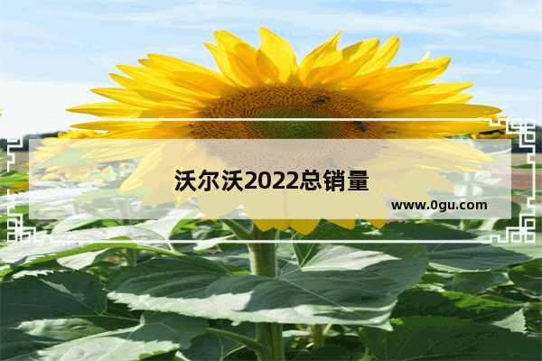 沃尔沃2022总销量