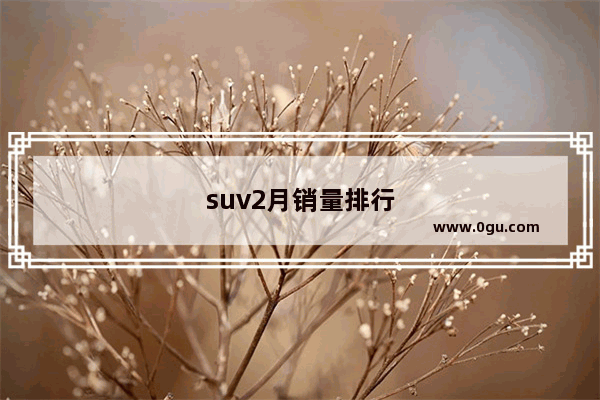 suv2月销量排行