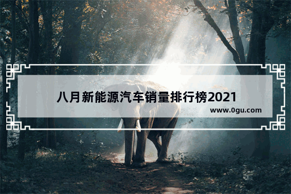 八月新能源汽车销量排行榜2021