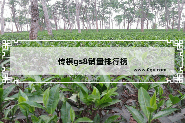 传祺gs8销量排行榜