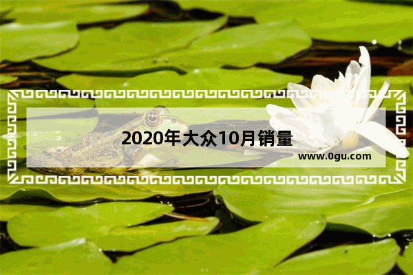 2020年大众10月销量