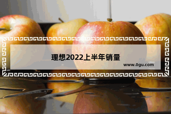 理想2022上半年销量