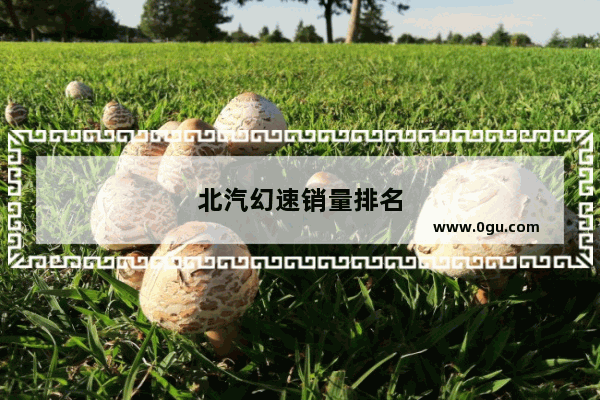 北汽幻速销量排名