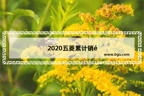 2020五菱累计销量