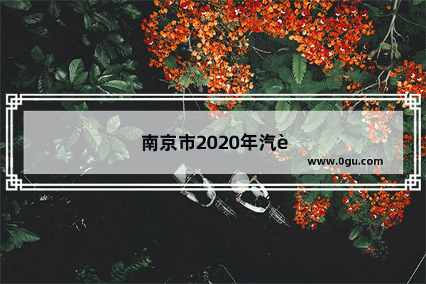 南京市2020年汽车销量多少