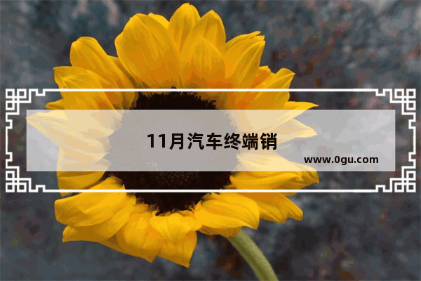 11月汽车终端销量排行榜