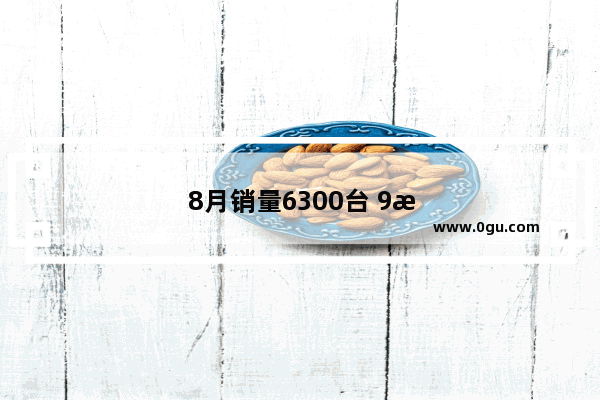 8月销量6300台 9月销量5000台 帝豪L雷神销量为何下降许多