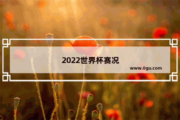 2022世界杯赛况