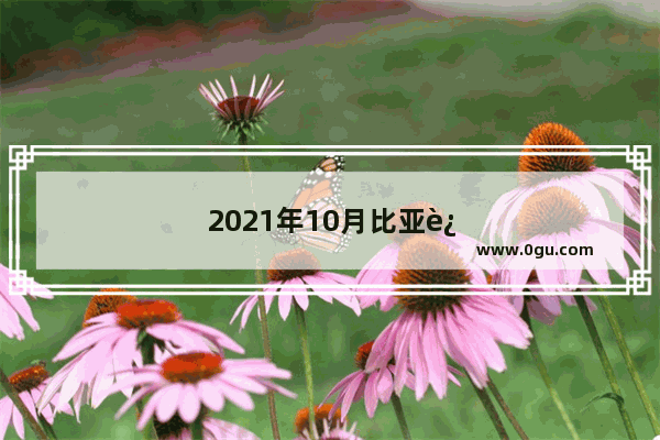 2021年10月比亚迪纯电汽车销量