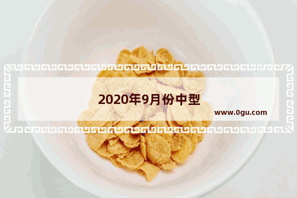 2020年9月份中型suv销量排行榜