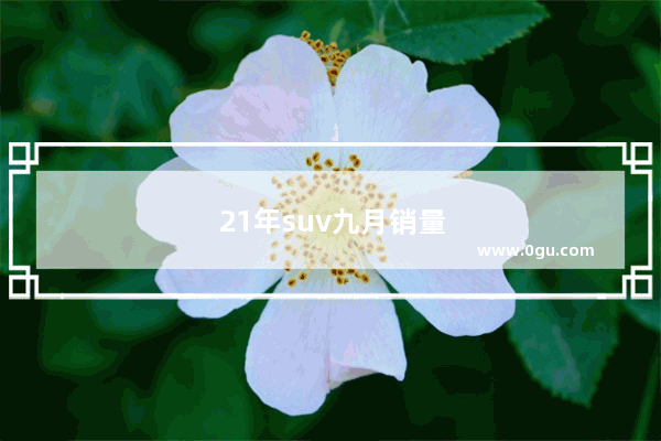 21年suv九月销量排行榜