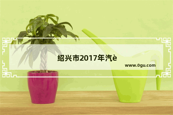 绍兴市2017年汽车销量多少