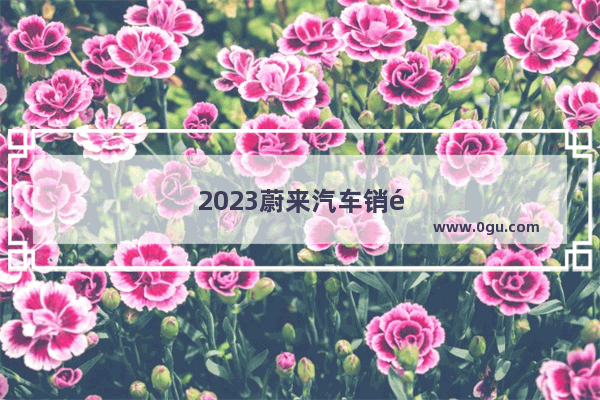 2023蔚来汽车销量