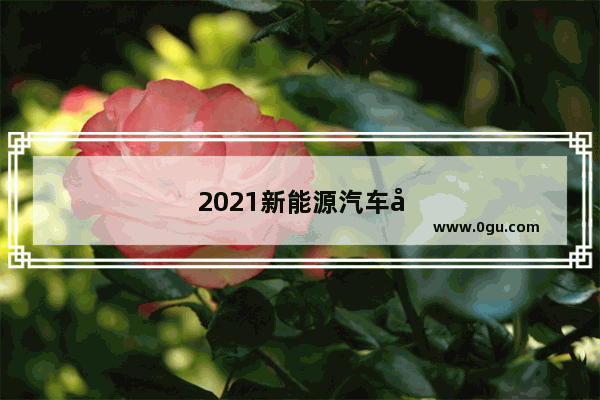 2021新能源汽车往年销量