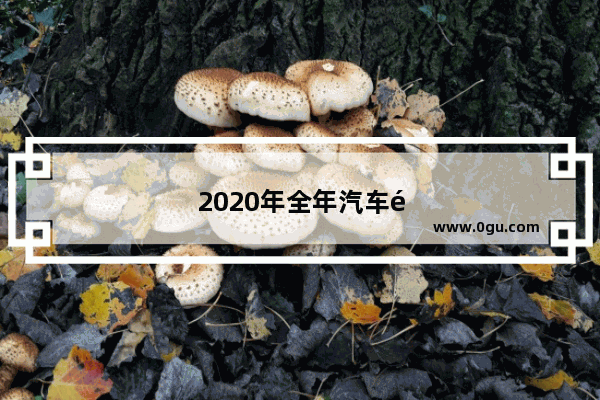 2020年全年汽车销量榜单