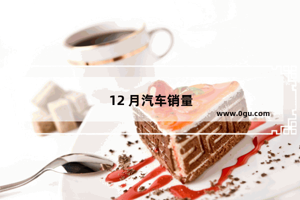 12 月汽车销量