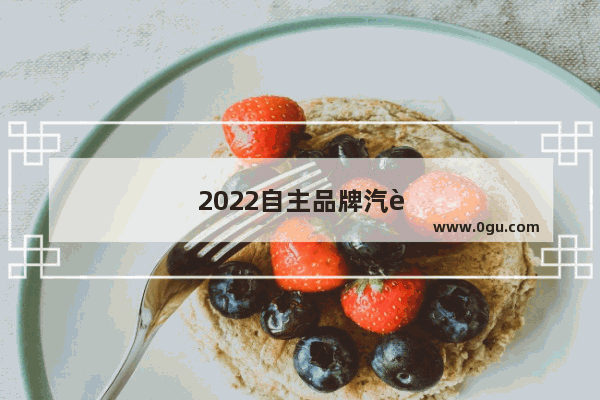 2022自主品牌汽车销量排行