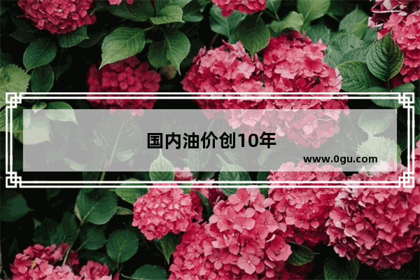 国内油价创10年来最大降幅加满一箱油少21元 你绝对这个降幅跟国际油价相比如何