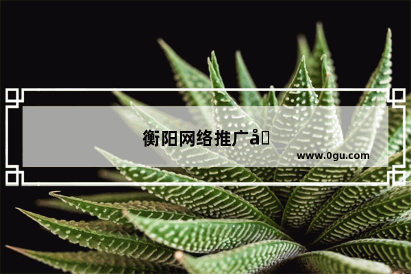 衡阳网络推广公司怎么样