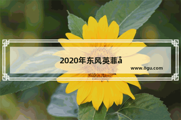 2020年东风英菲尼迪销量