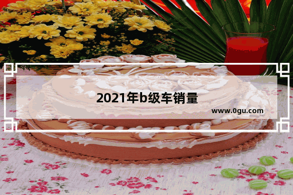 2021年b级车销量排行