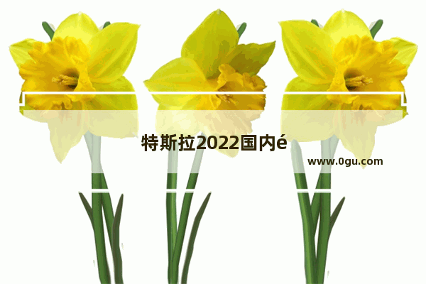 特斯拉2022国内销量