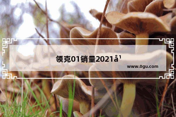 领克01销量2021年销量排名