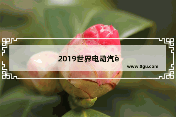 2019世界电动汽车销量排行榜