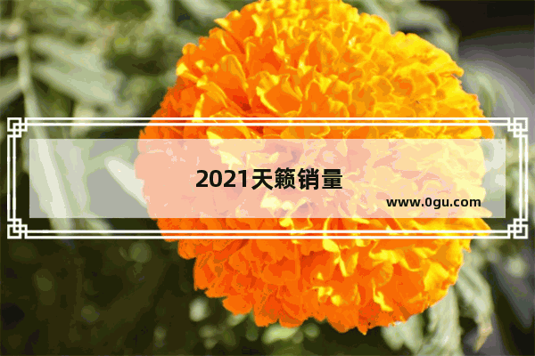 2021天籁销量