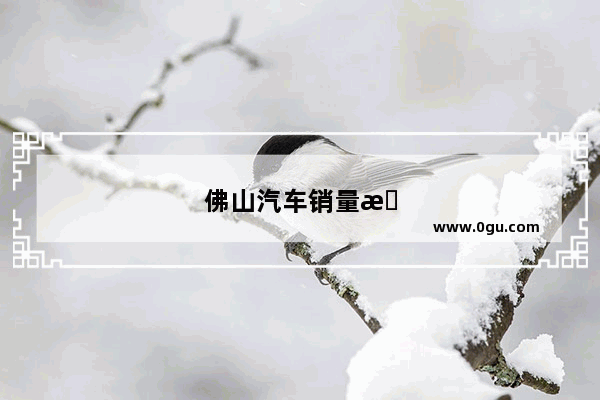 佛山汽车销量排行榜