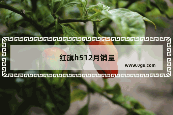 红旗h512月销量