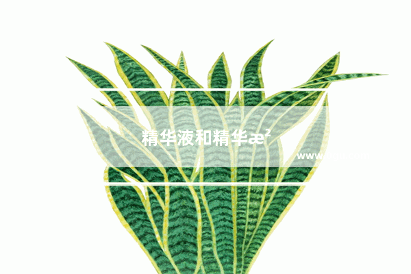 精华液和精华油 哪个比较好