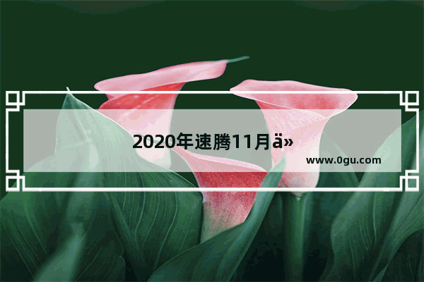 2020年速腾11月份销量