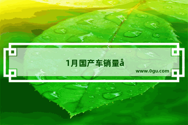 1月国产车销量全线下跌 福特在华为什么踩了急刹车