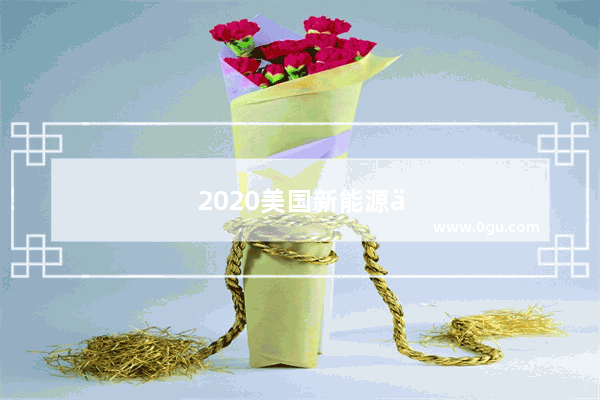 2020美国新能源乘用车销量