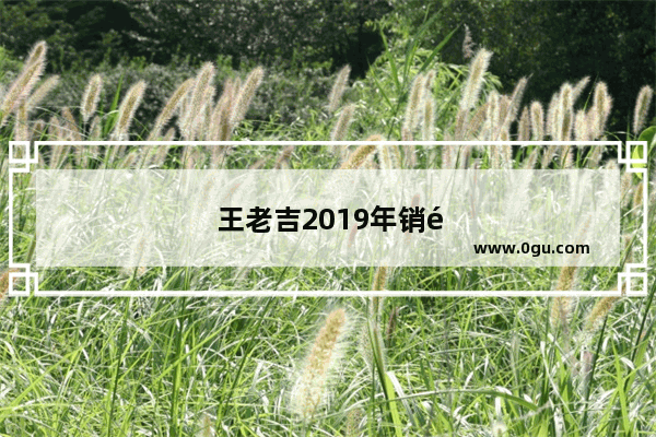 王老吉2019年销量