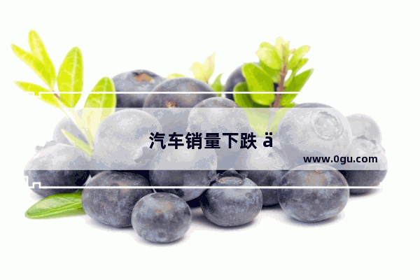 汽车销量下跌 企业如何度过寒冬