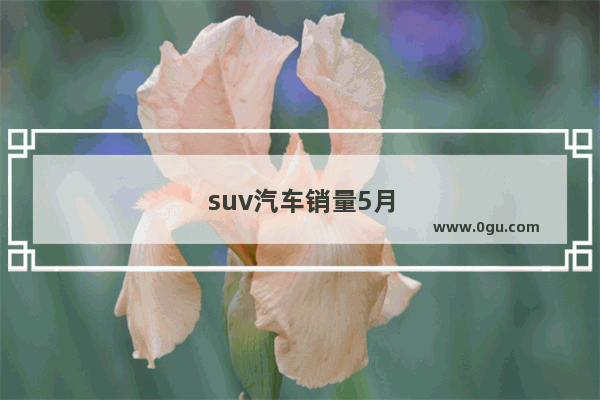 suv汽车销量5月