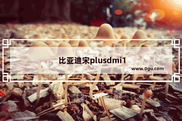 比亚迪宋plusdmi12月销量排行