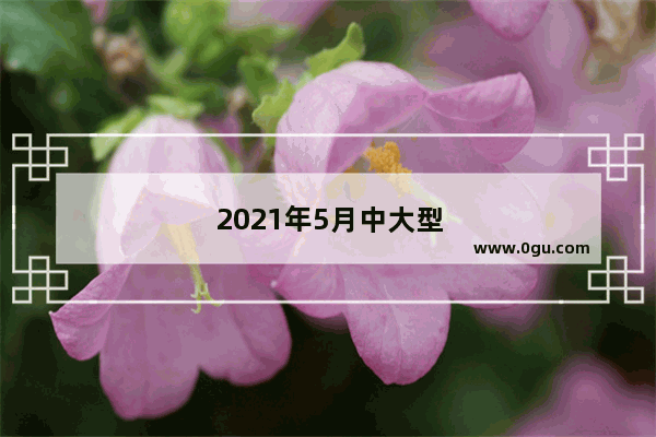 2021年5月中大型suv销量完整排名