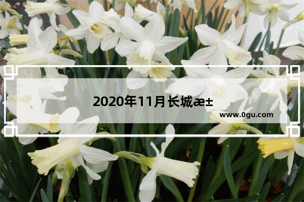 2020年11月长城汽车销量