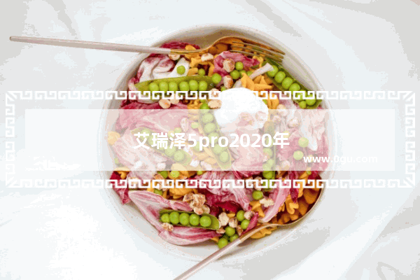 艾瑞泽5pro2020年销量