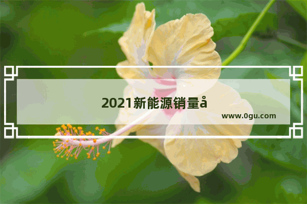 2021新能源销量完整排名