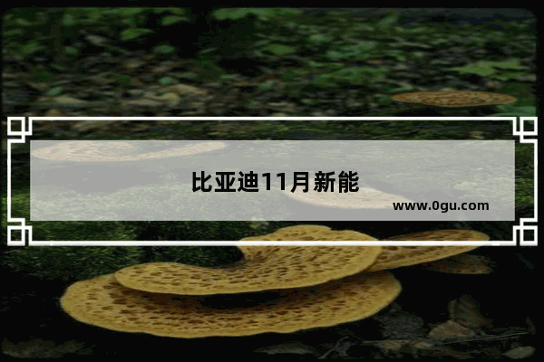 比亚迪11月新能源汽车销量超30万辆