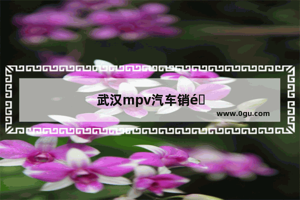 武汉mpv汽车销量排行榜前十名