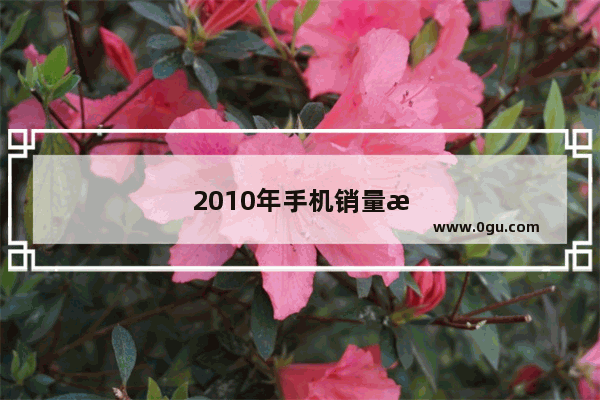 2010年手机销量排行榜