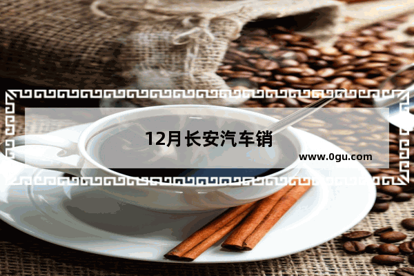 12月长安汽车销量排行榜最新