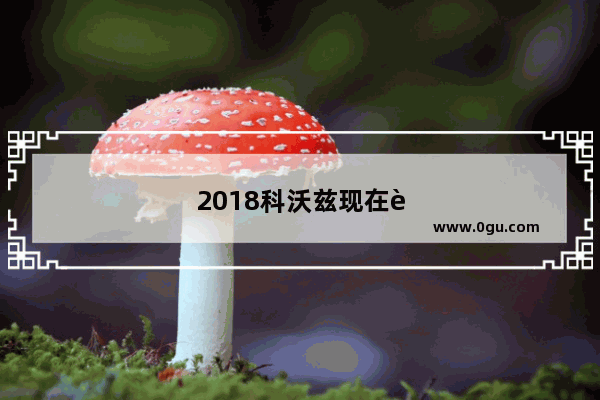 2018科沃兹现在还值得买嘛