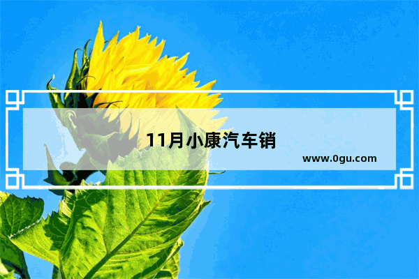 11月小康汽车销量排行榜