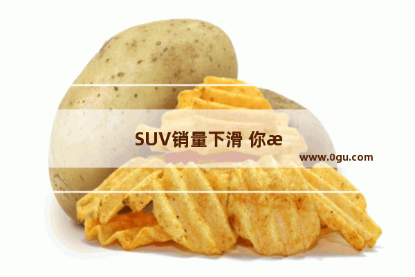 SUV销量下滑 你怎么看